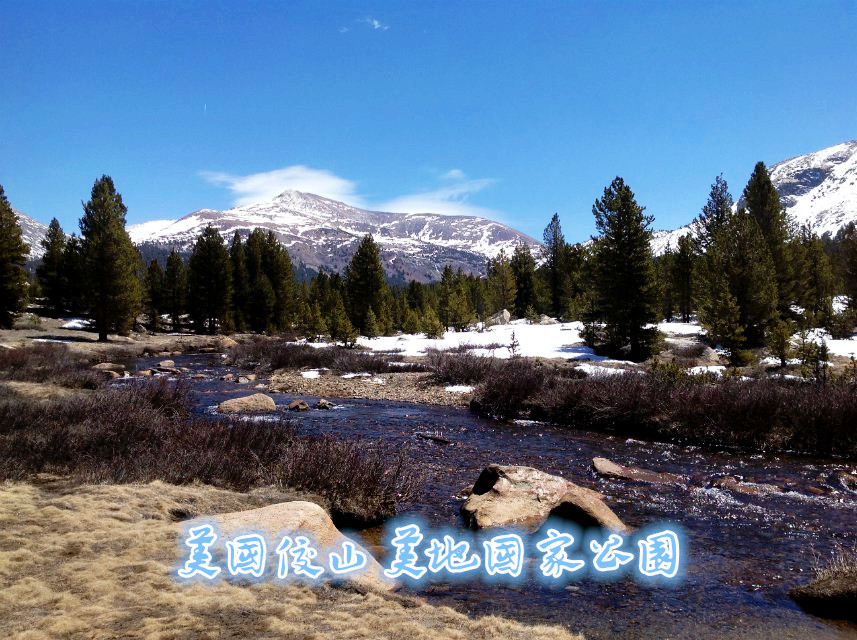 psb (4)_����.jpg