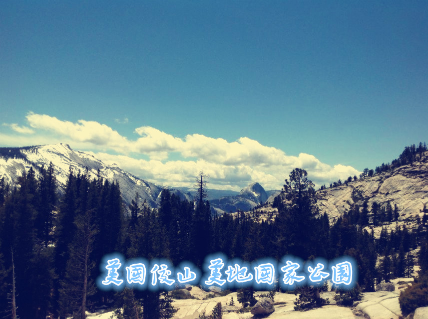 psb (14)_����.jpg