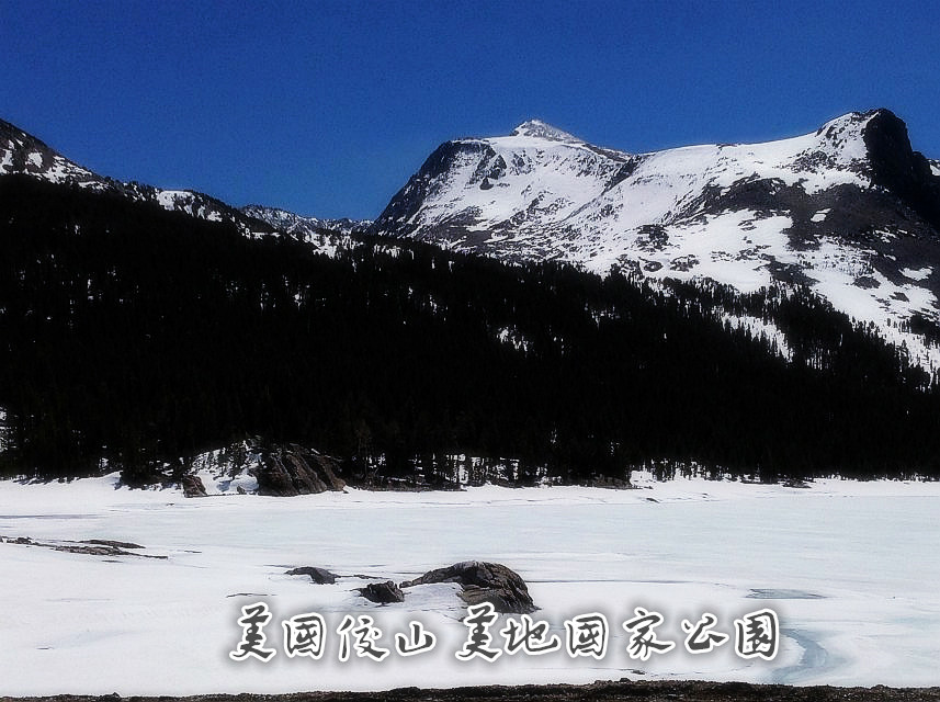 psb (2)_����.jpg