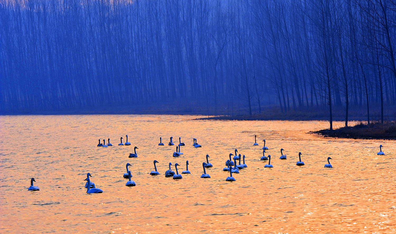 �˳���ƽ½�����������Ӱ �ŷ�0.jpg