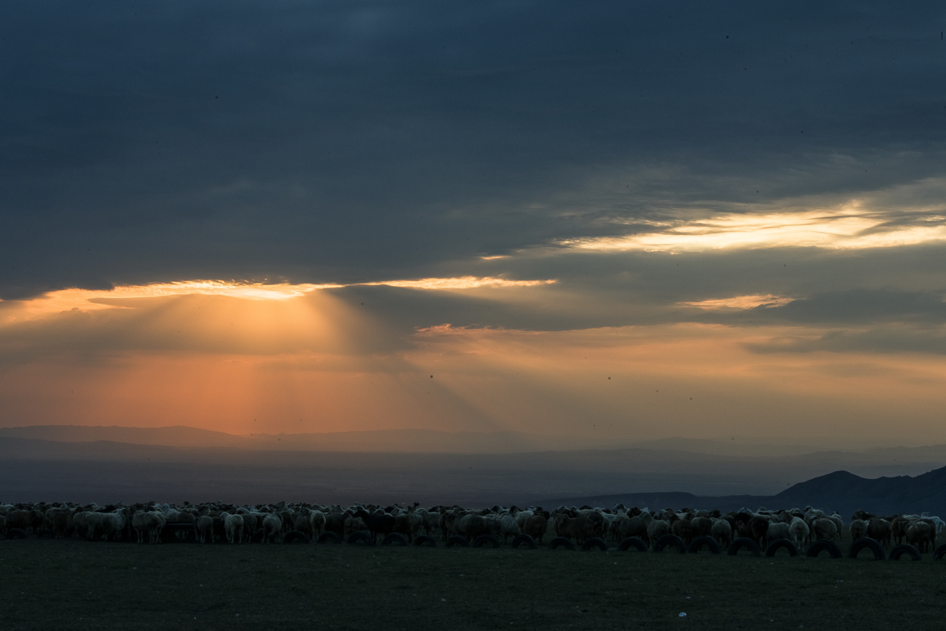 ����̫������