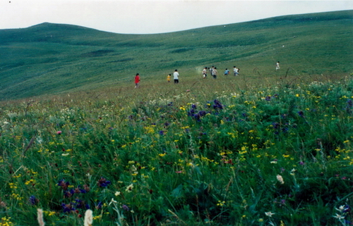 ��Ӱ�봴��֮������.��⣩��ɽ����