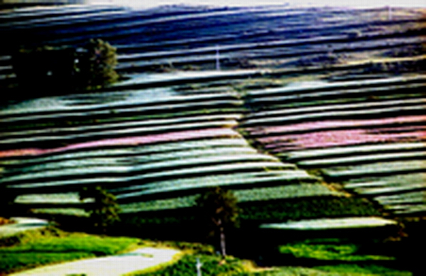 ��Ӱ�봴��֮������.��⣩��ɽ����