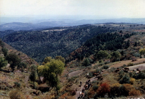 ��Ӱ�봴��֮������.��⣩��ɽ������