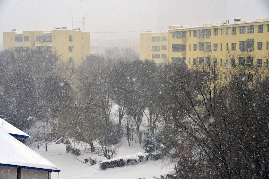 nEO_IMG__DSC2236 - ����.jpg