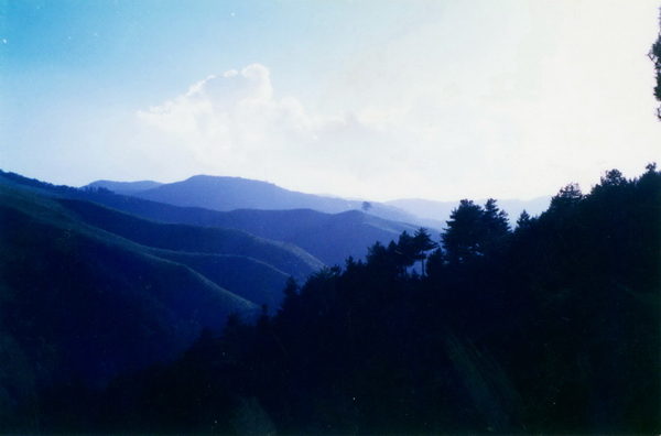 ��Ӱ�봴��֮������.��⣩�Ŷ�ɽ��