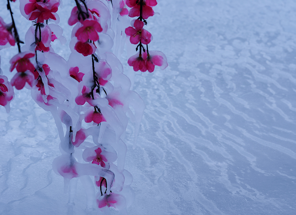 2015��1��2�ձ���gg a2471.jpg