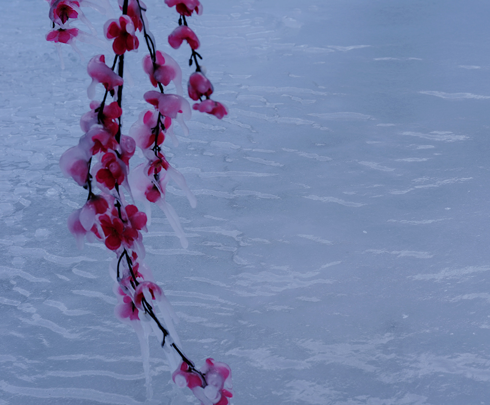 2015��1��2�ձ���gg a2451.jpg