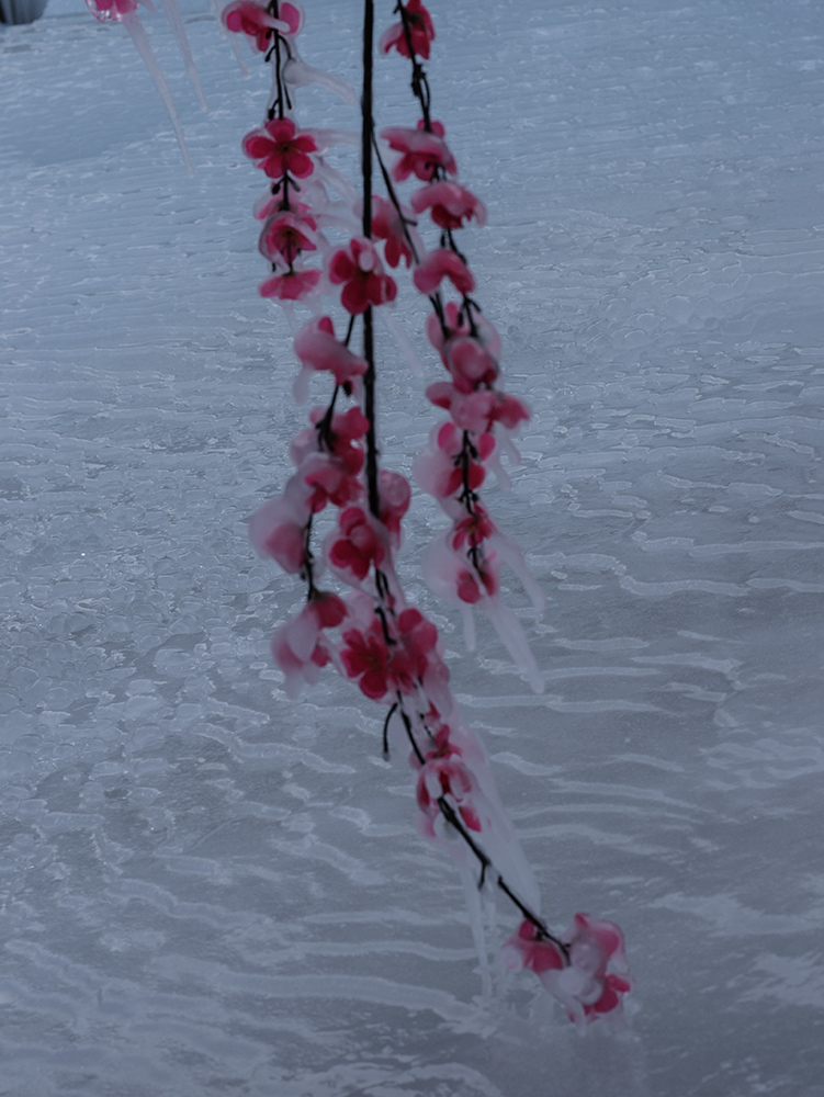 2015��1��2�ձ���gga 2411.jpg