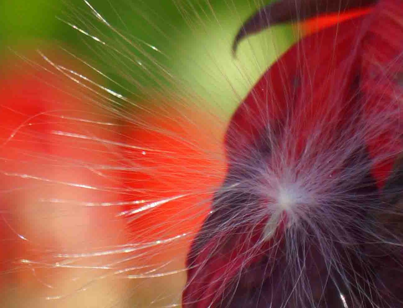 DSC00864 ����_����1.jpg