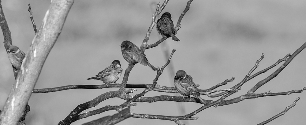 2015��2��16����a 0411.jpg