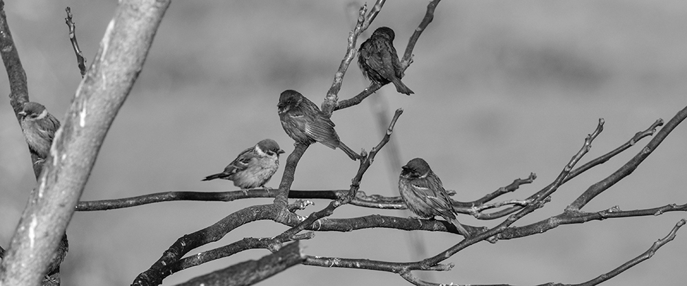 2015��2��16���� a0391.jpg