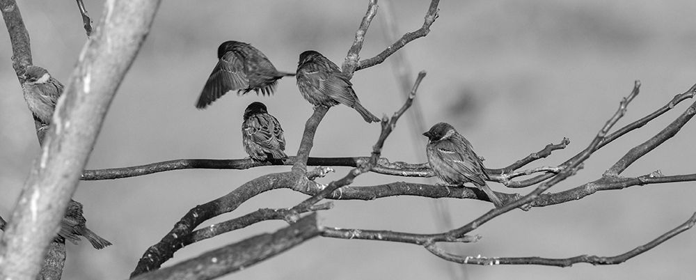 2015��2��16���� a0431.jpg