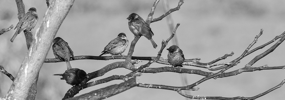 2015��2��16���� a0481.jpg