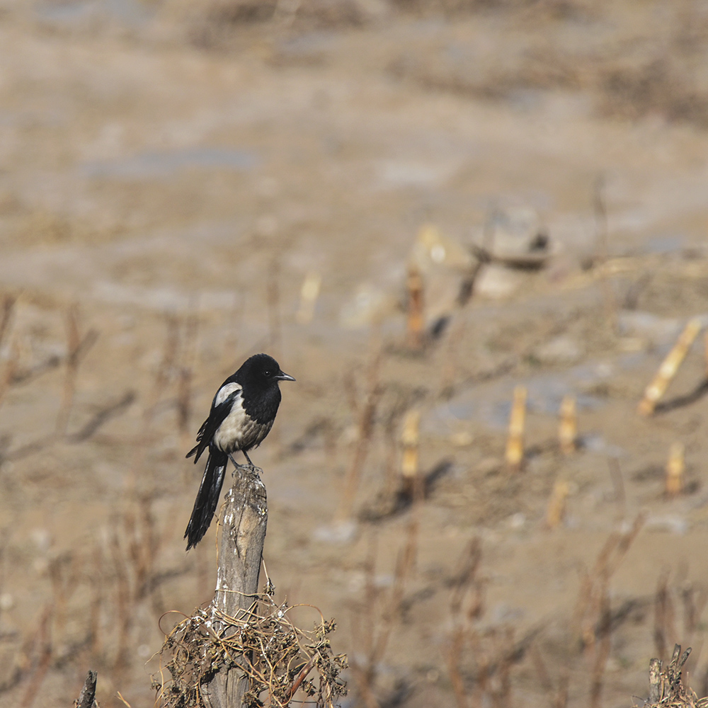 2015��2��16���� a0191.jpg