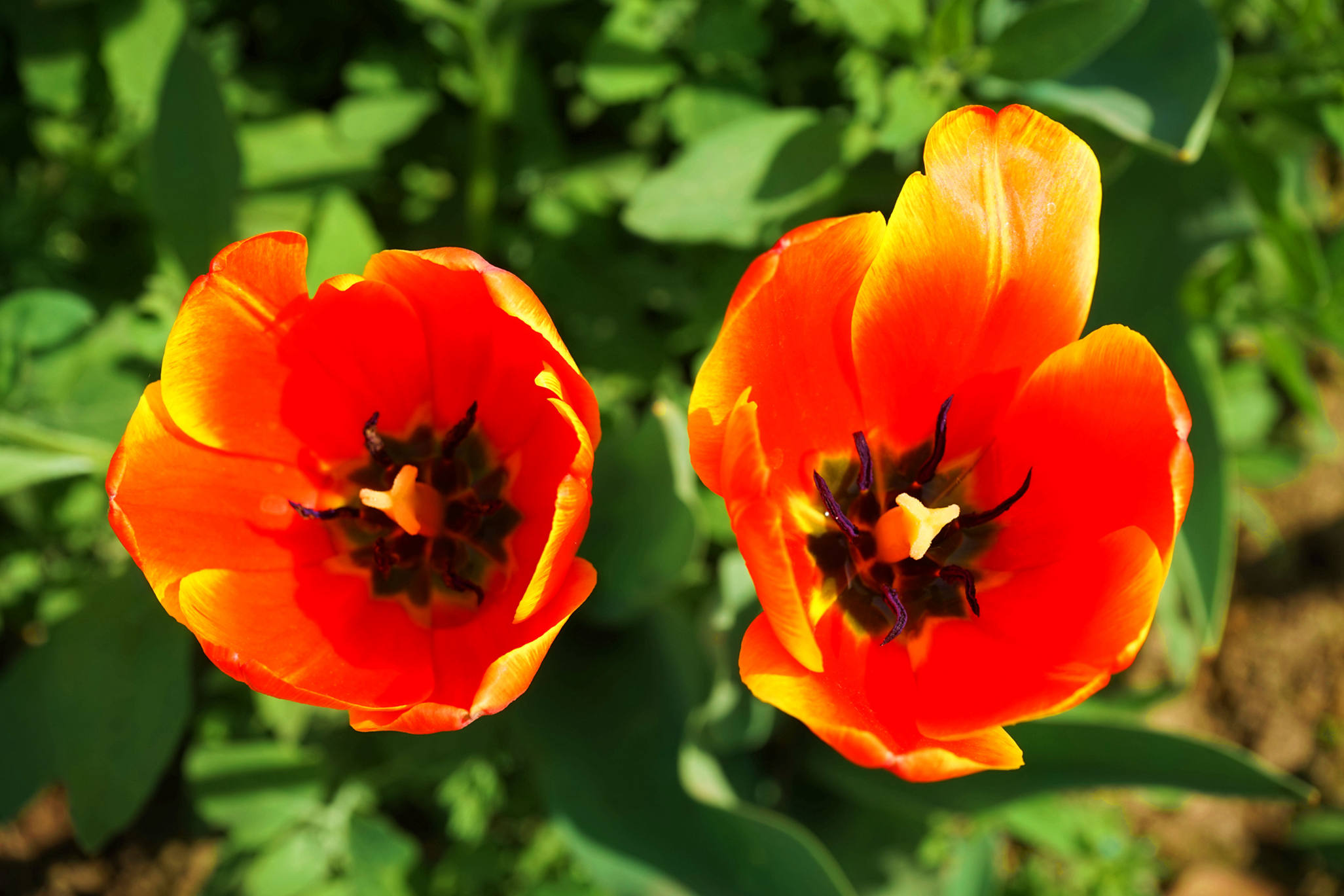 ף��ʦ�ǿ���.������.���֣�