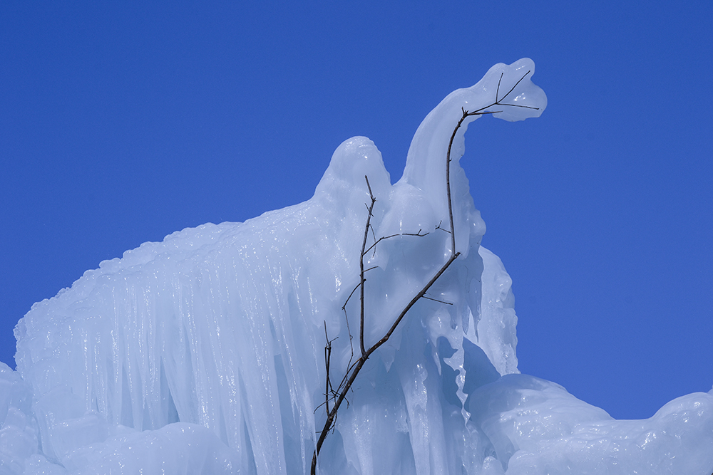 2015��1��2�ձ���gg a2791.jpg