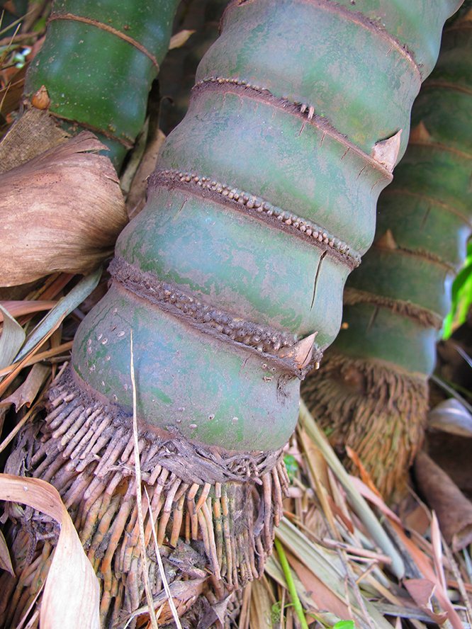 20100507handan 301.jpg