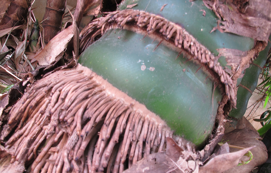 20100507handan 289.jpg