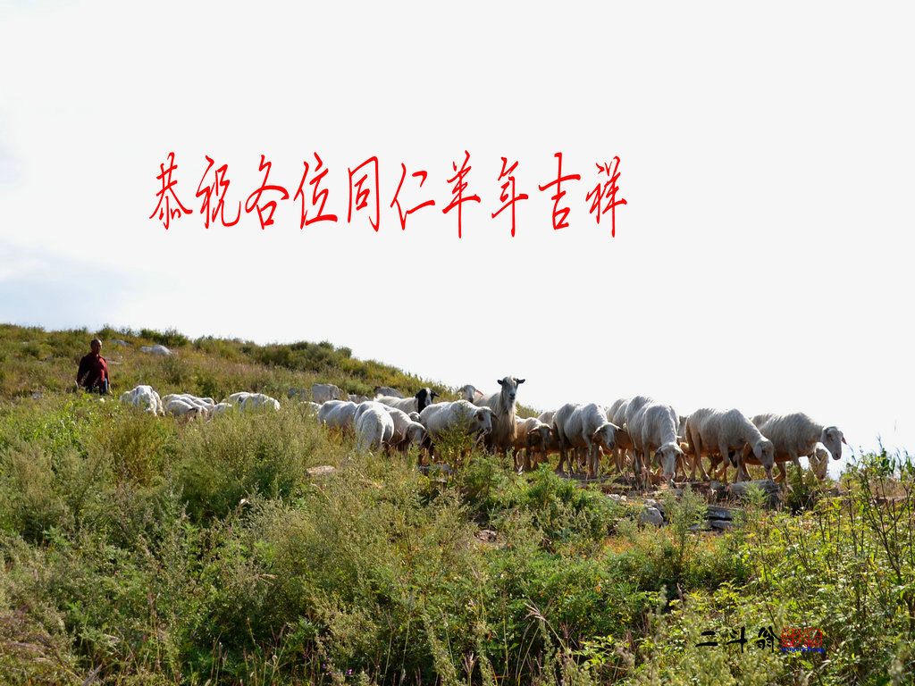 �̹زг��� 142.jpg