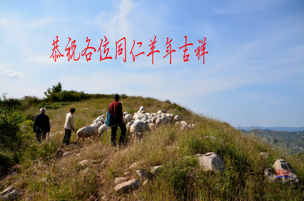 �̹زг��� 148.jpg