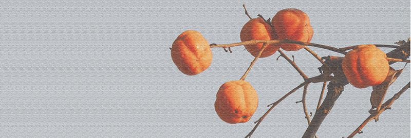 2014��11��8��a 0041.jpg