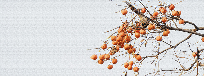 2014��11��8��aa 0061.jpg