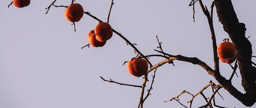 2014��11��8����������a 0321.jpg