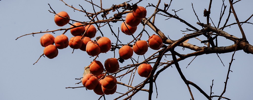 2014��11��8���������� a0411.jpg