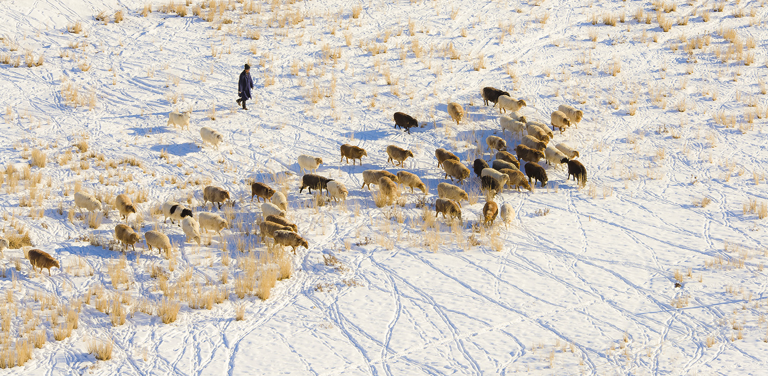 ��޴���ϲ����