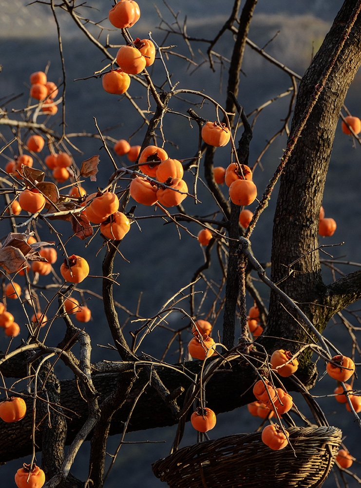 2014��11��9����������2 a2191.jpg