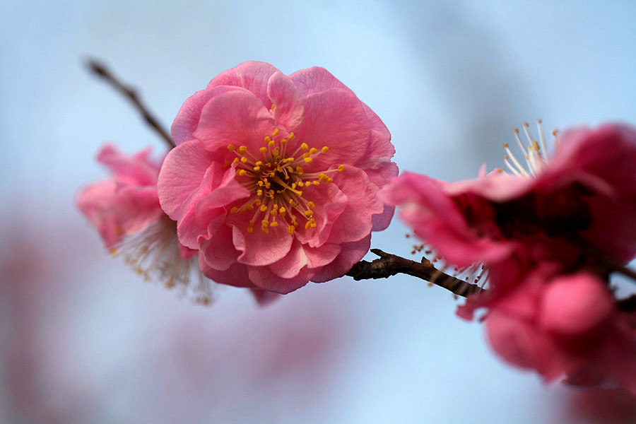 ��Ƭ 002_����.jpg