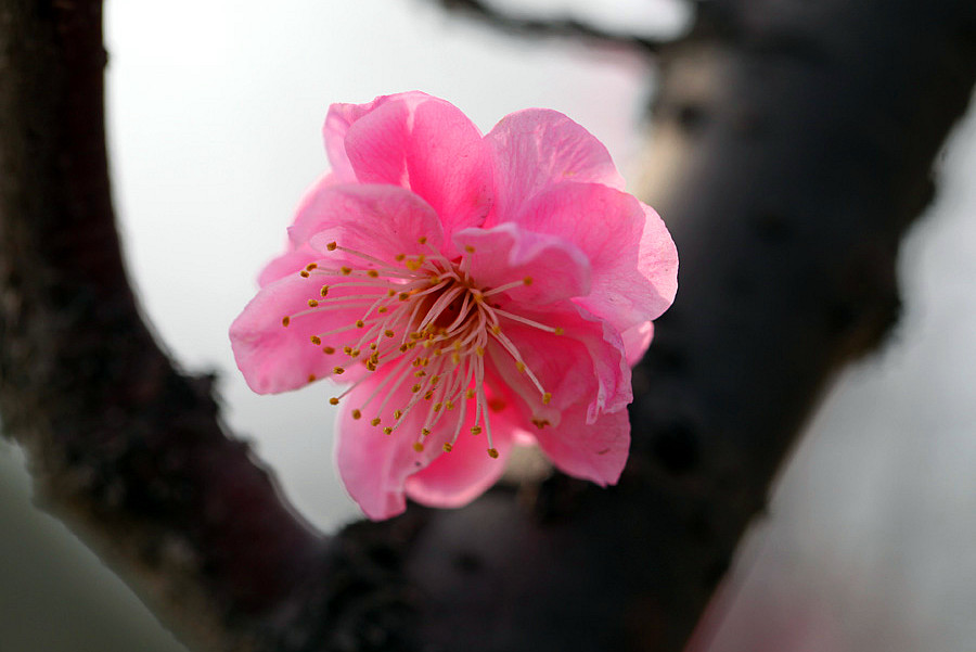 ��Ƭ 004_����.jpg