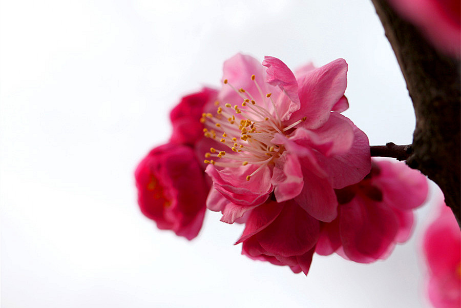 ��Ƭ 014_����.jpg