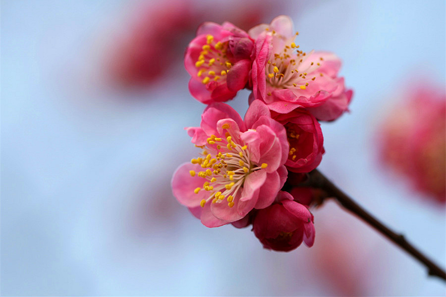 ��Ƭ 059_����.jpg