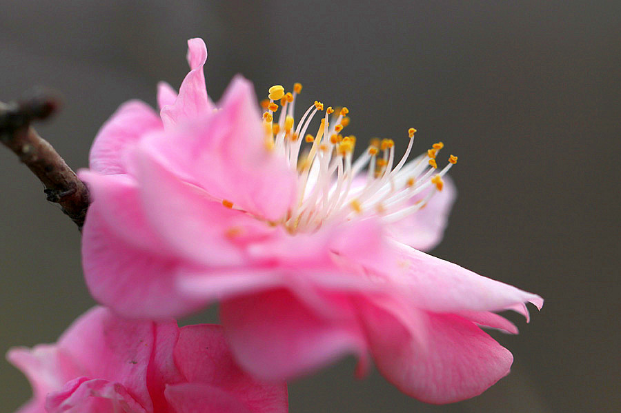 ��Ƭ 066-����.jpg