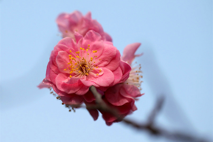 ��Ƭ 069_����.jpg