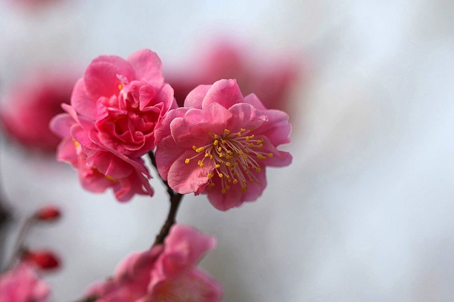 ��Ƭ 078_����.jpg