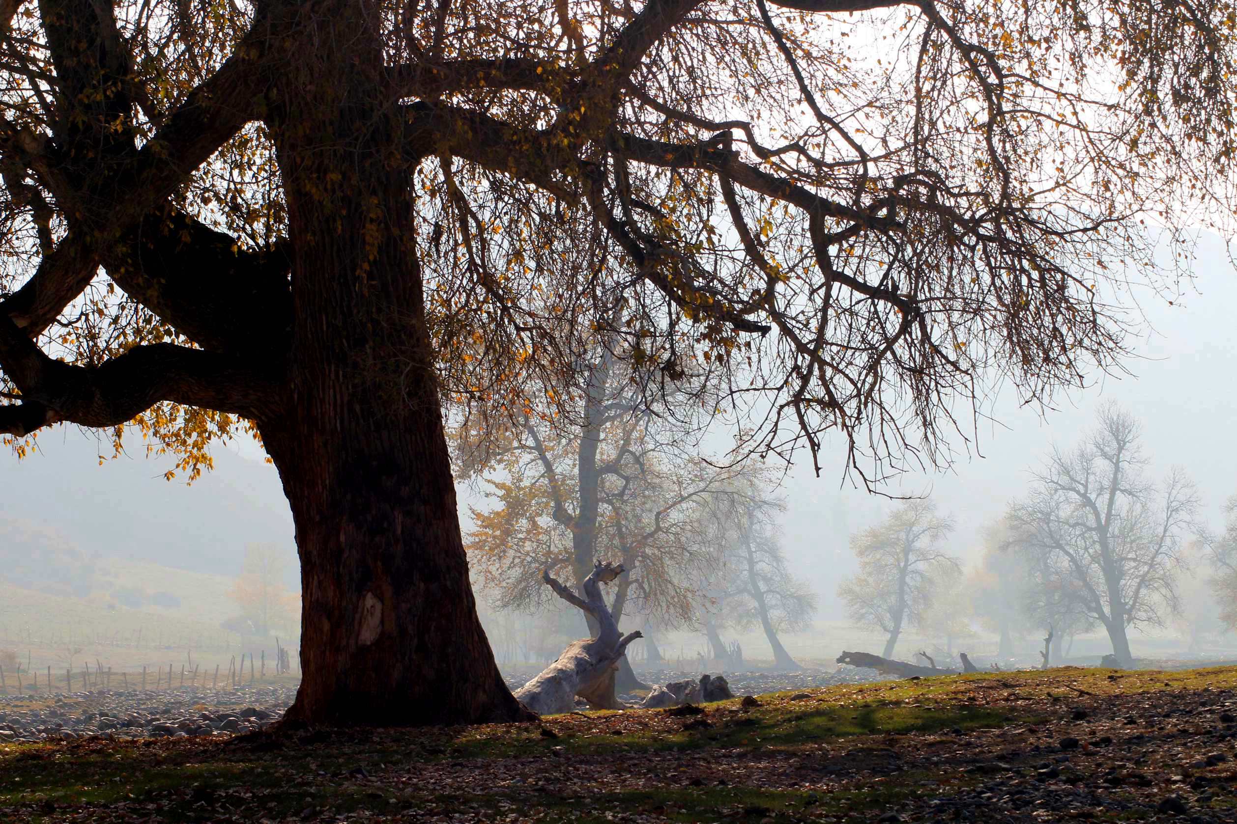 IMG_0123 ����_����_����.jpg