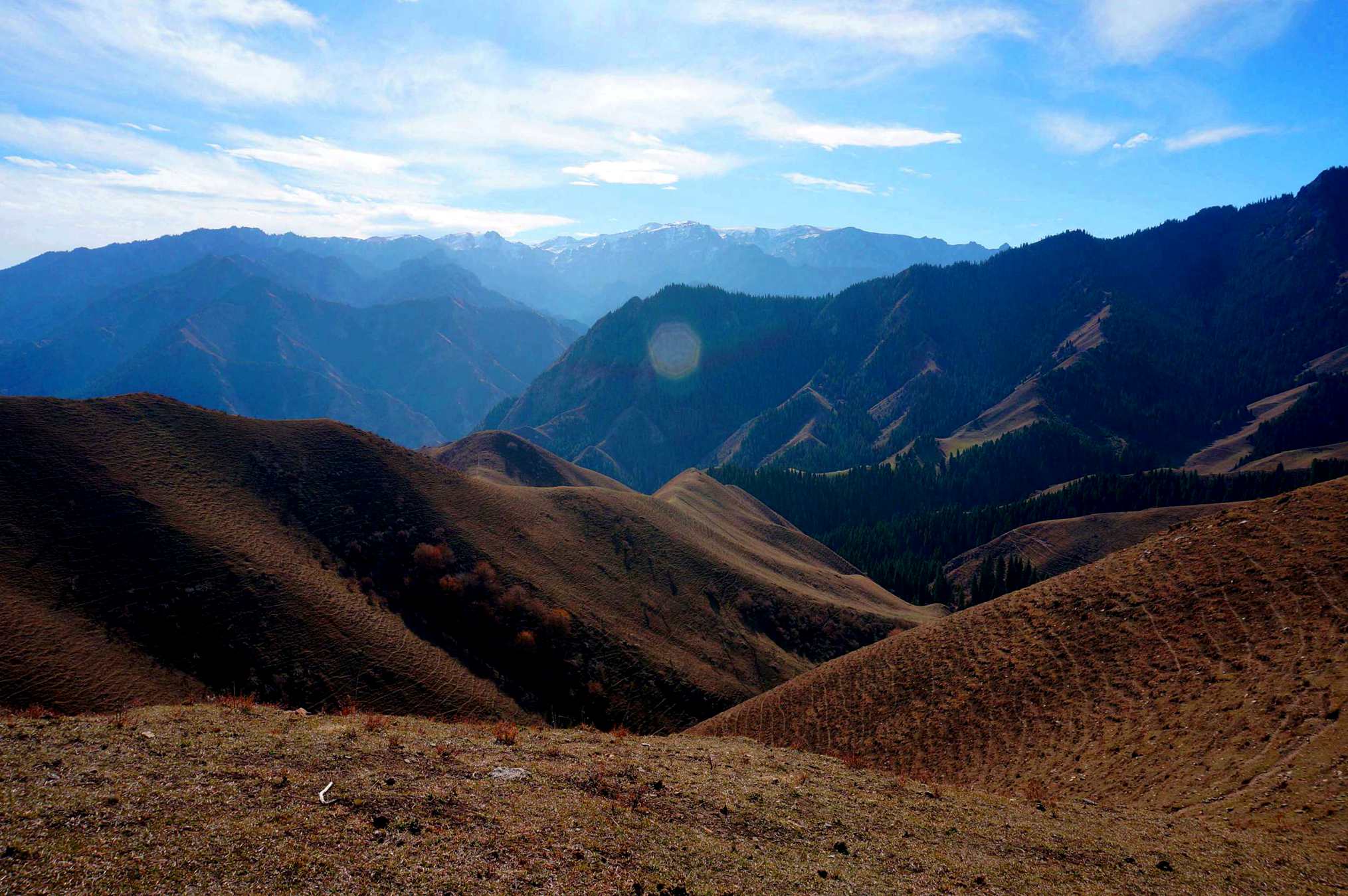 DSC01183 ����_����_����_����.jpg