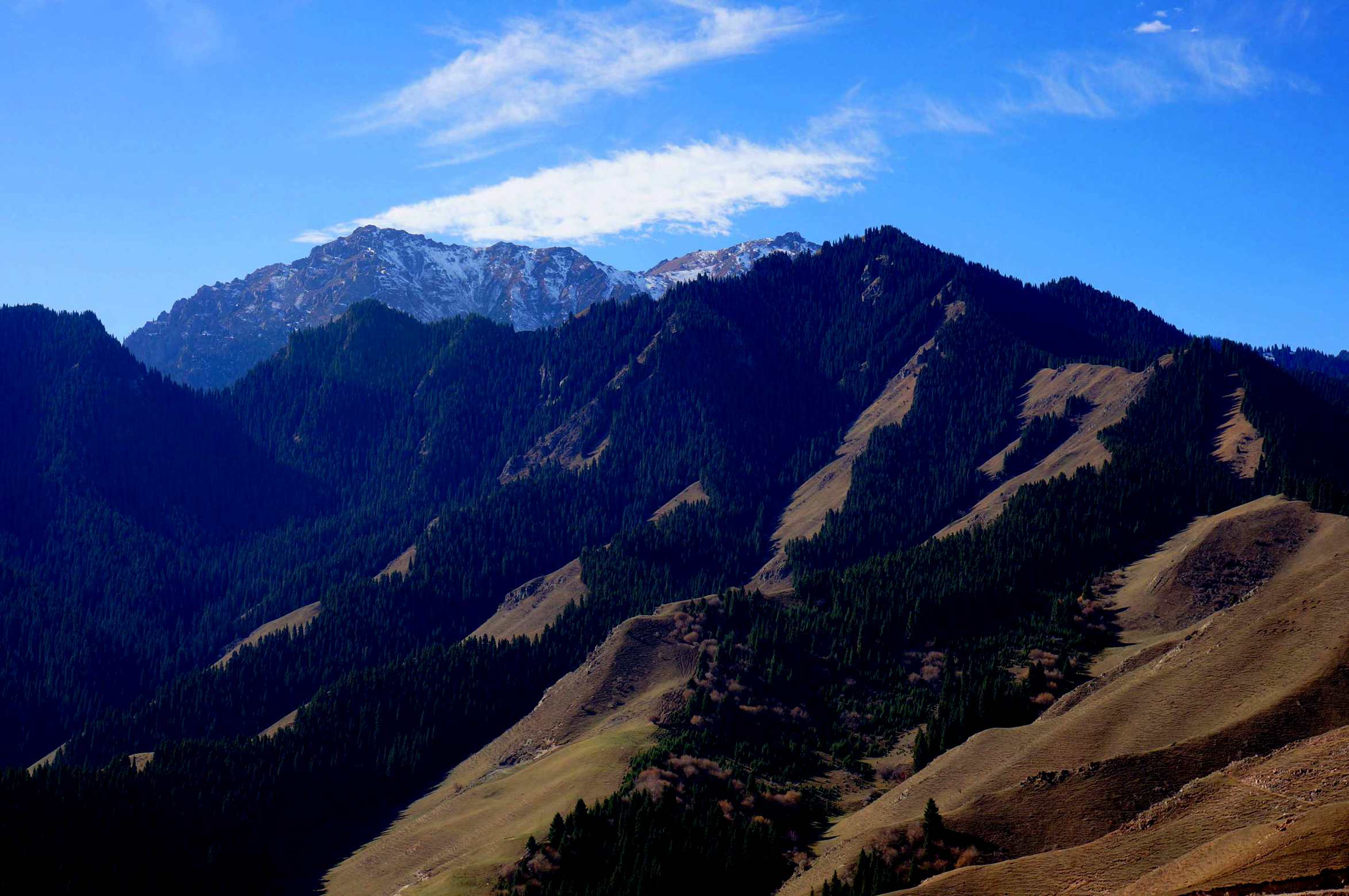 DSC01189 ����_����_����.jpg