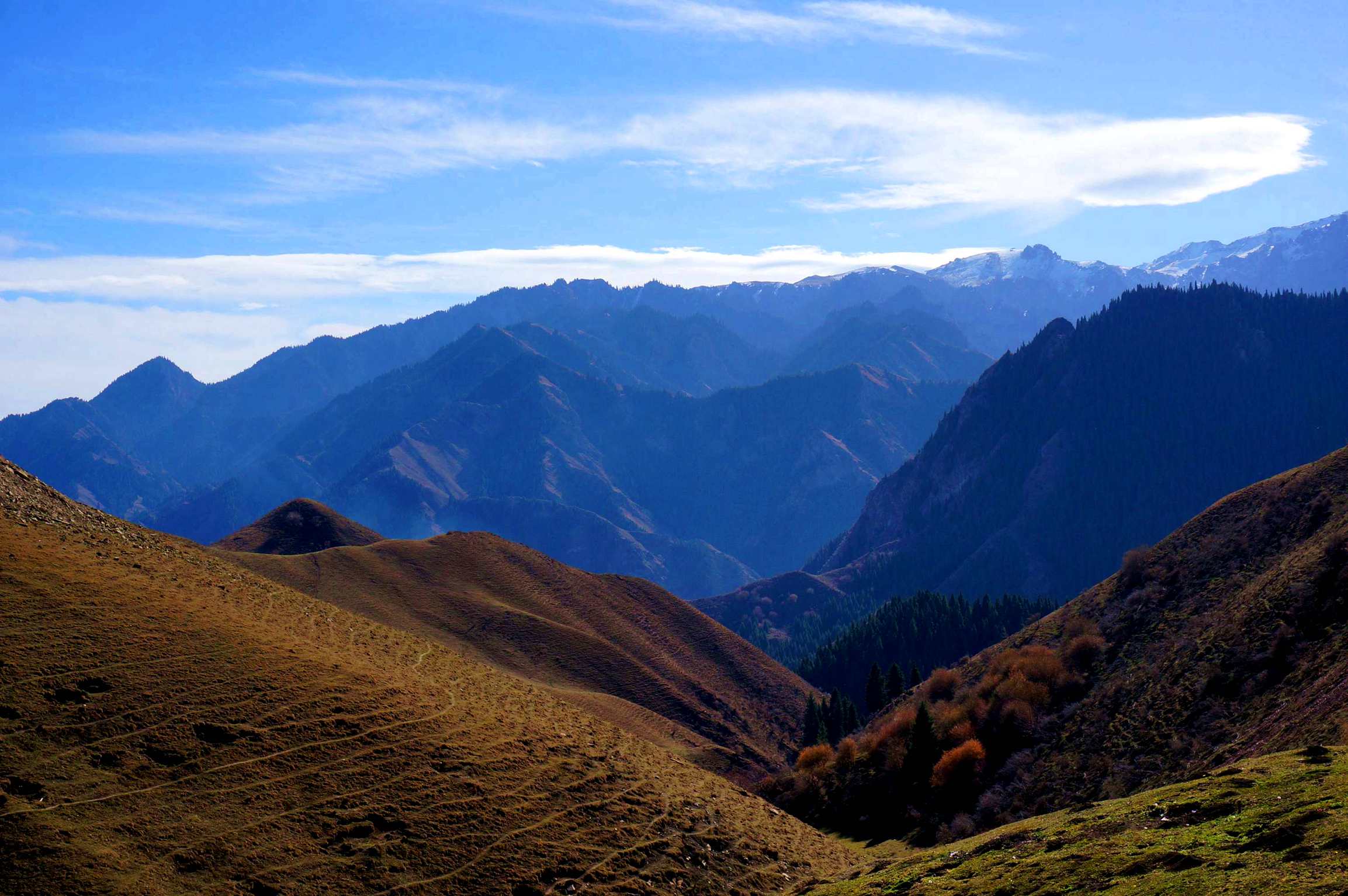 DSC01192 ����_����_����.jpg