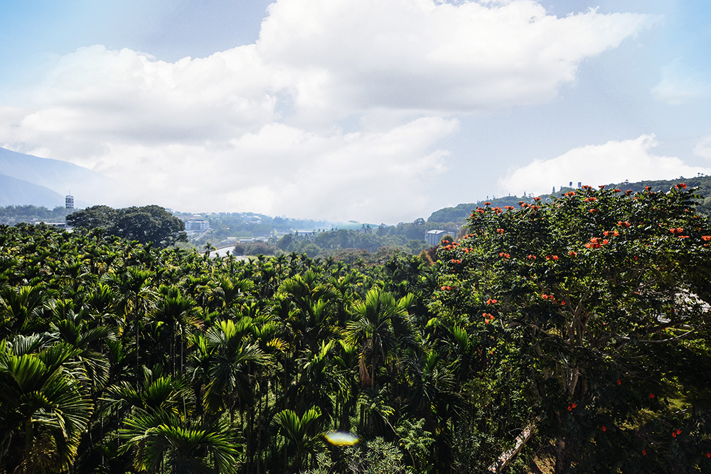 2014��12��13��̨��(��ǣ� a0761.jpg