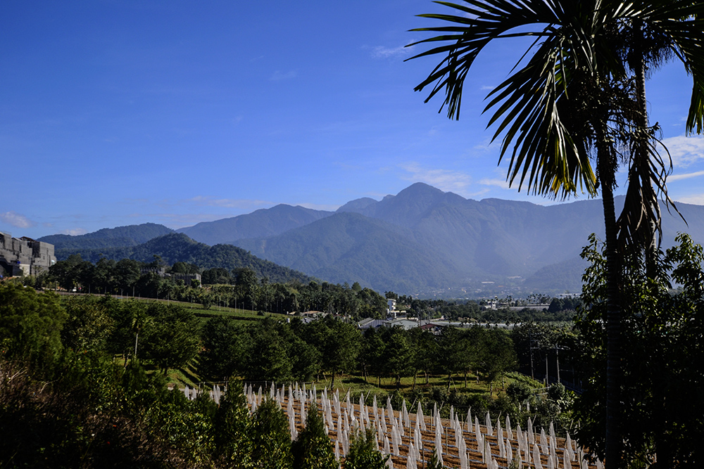 2014��12��13��̨��(��ǣ� a0831.jpg