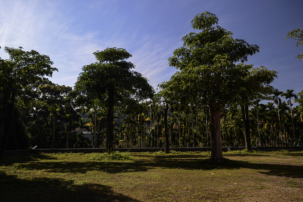 2014��12��13��̨��(��ǣ� a0821.jpg