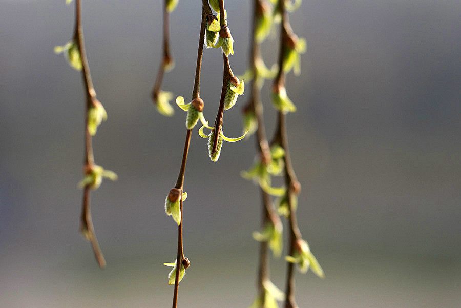 ��Ƭ 039_����.jpg