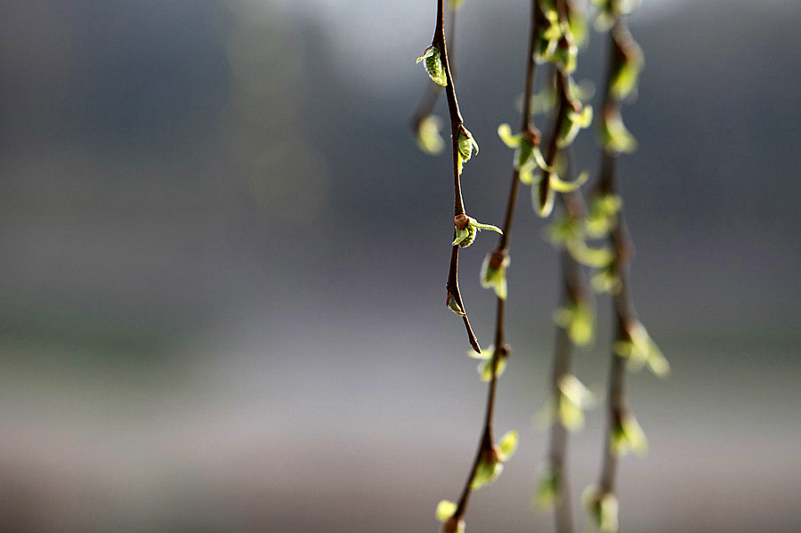 ��Ƭ 040_����.jpg