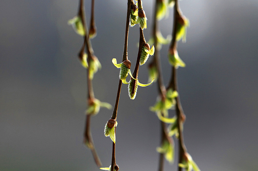 ��Ƭ 041_����.jpg