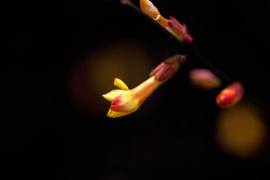 ��Ƭ 031_����.jpg