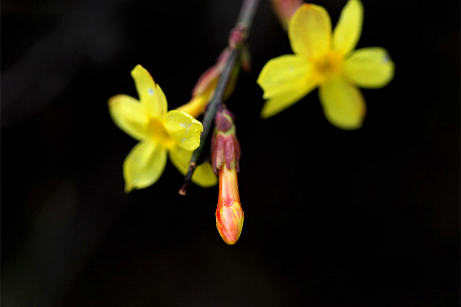 ��Ƭ 032_����.jpg